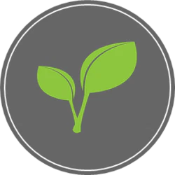 csm_pflanze_d88b242676